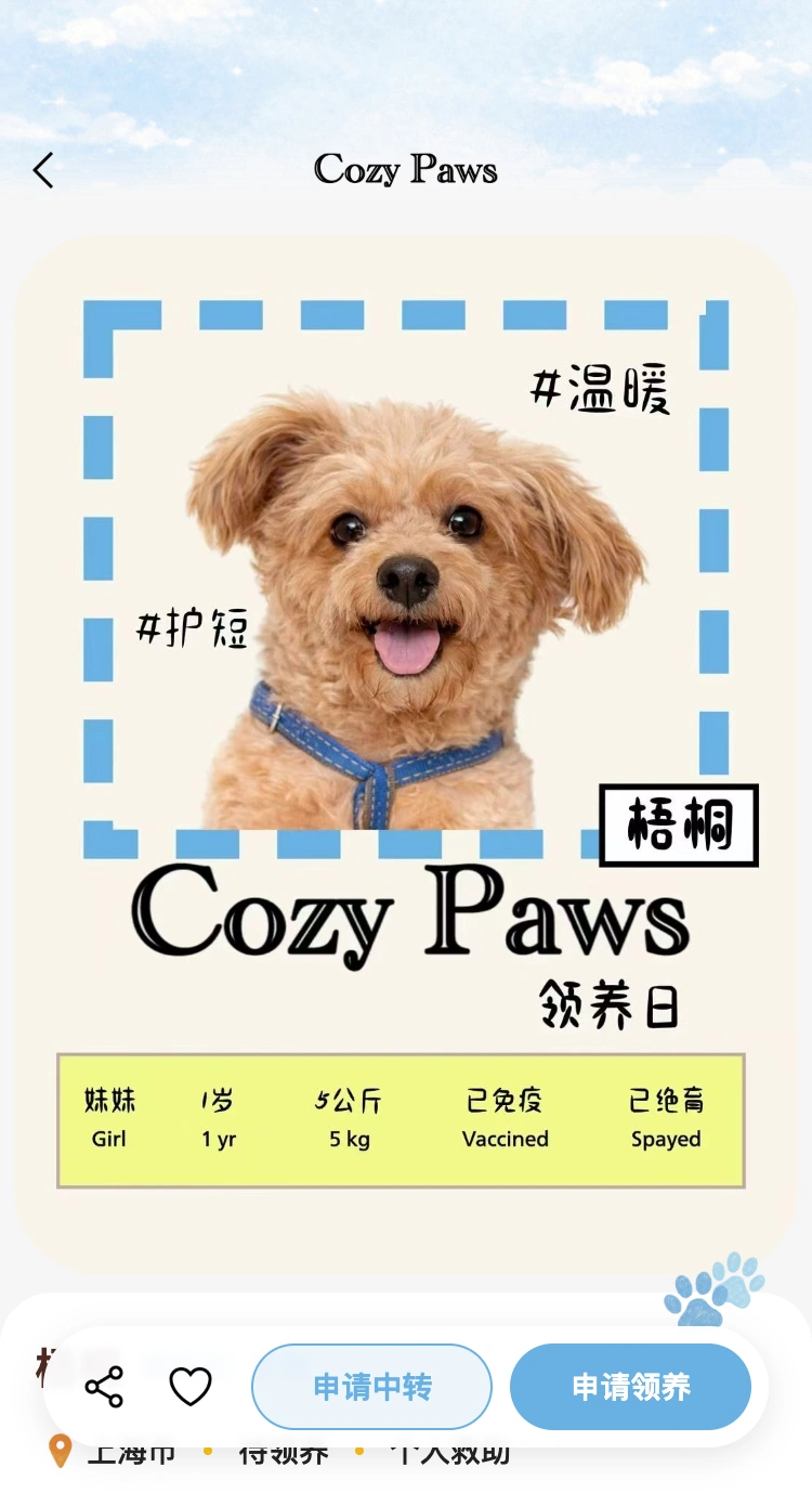 CozyPaws 先了解，再靠近页面，使用本地示例资料与项目领养海报