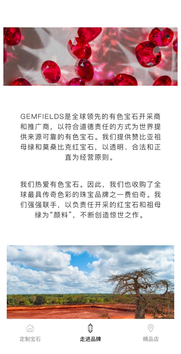 Gemfields 宝石红焕，向下浏览品牌内容与宝石影像。